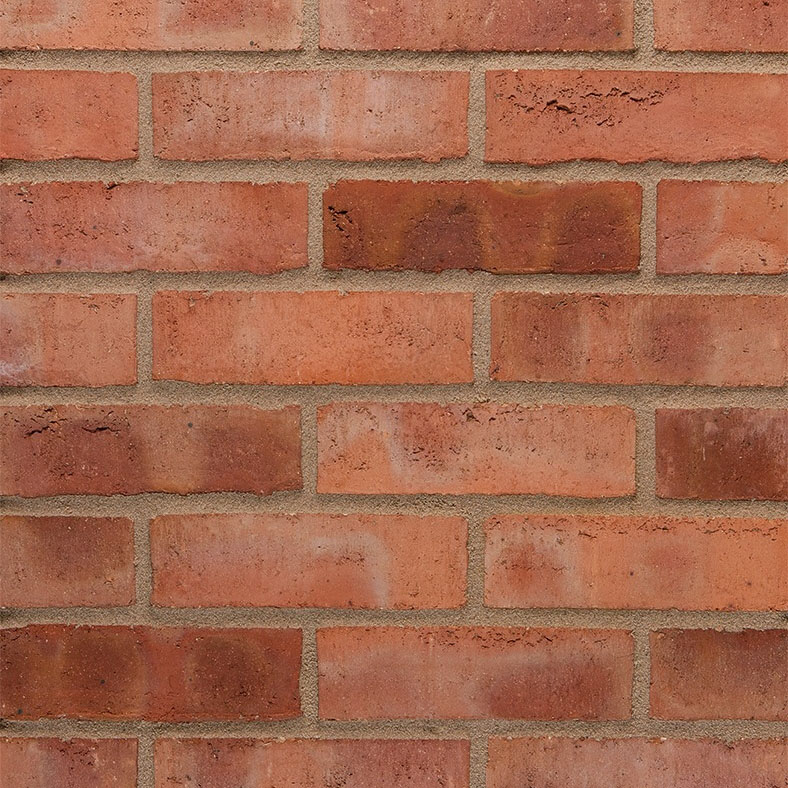 UK_MKT_24310020_autumn_russet_sovereign_stock