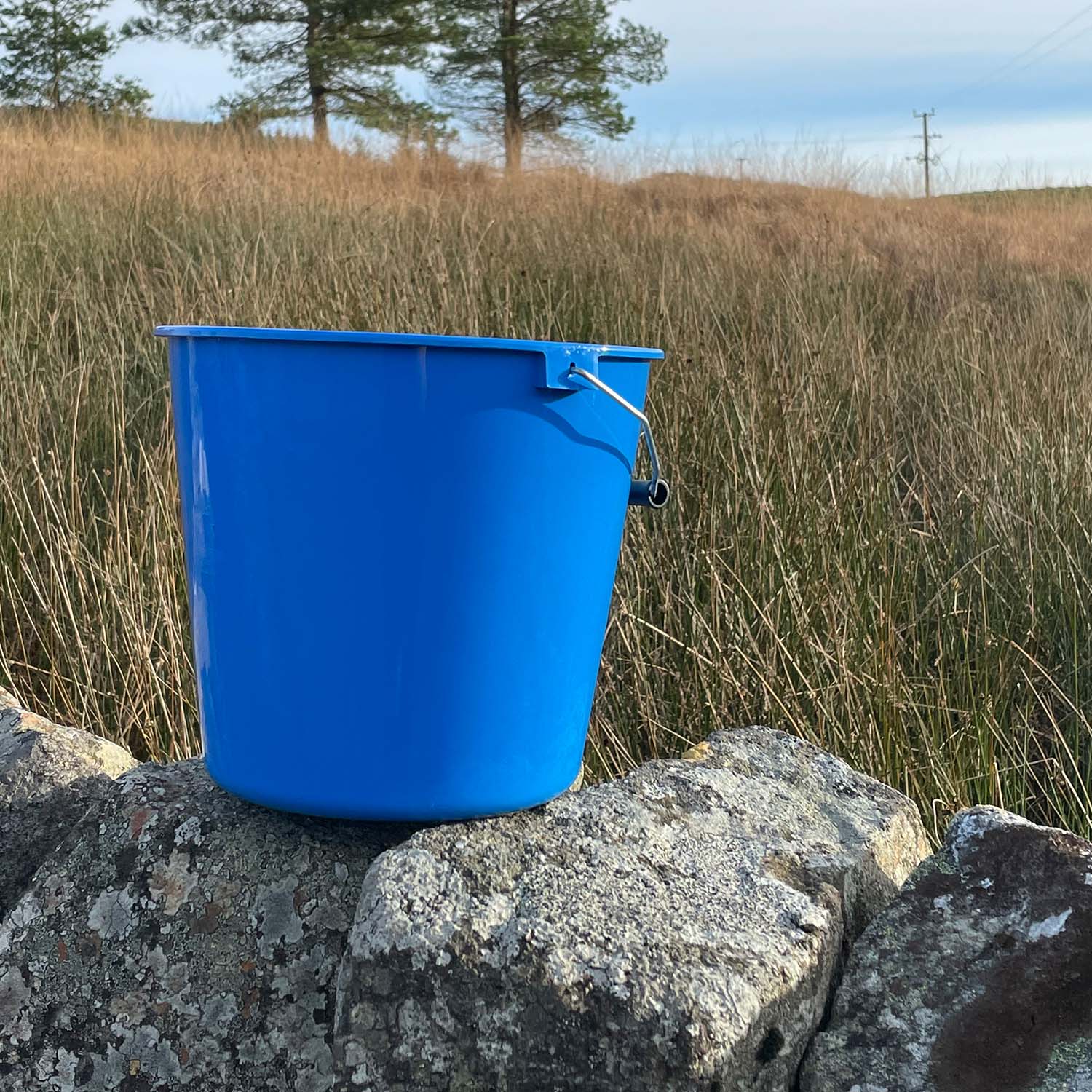 large_calf_bucket_blue_3
