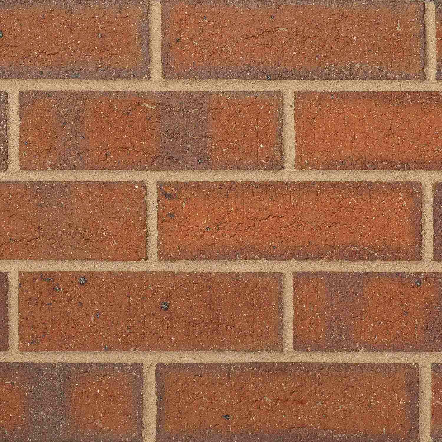 Blockleys_WrekinDarkRed