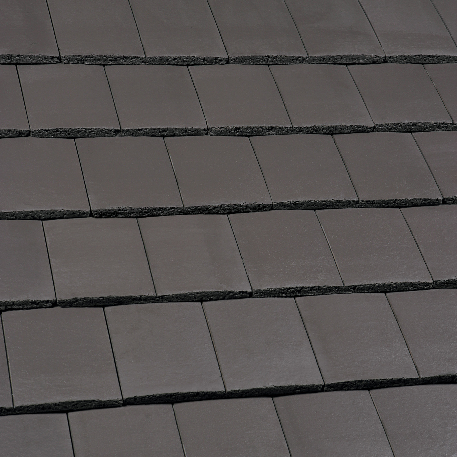 Ashmore Smooth Grey Rig Shot