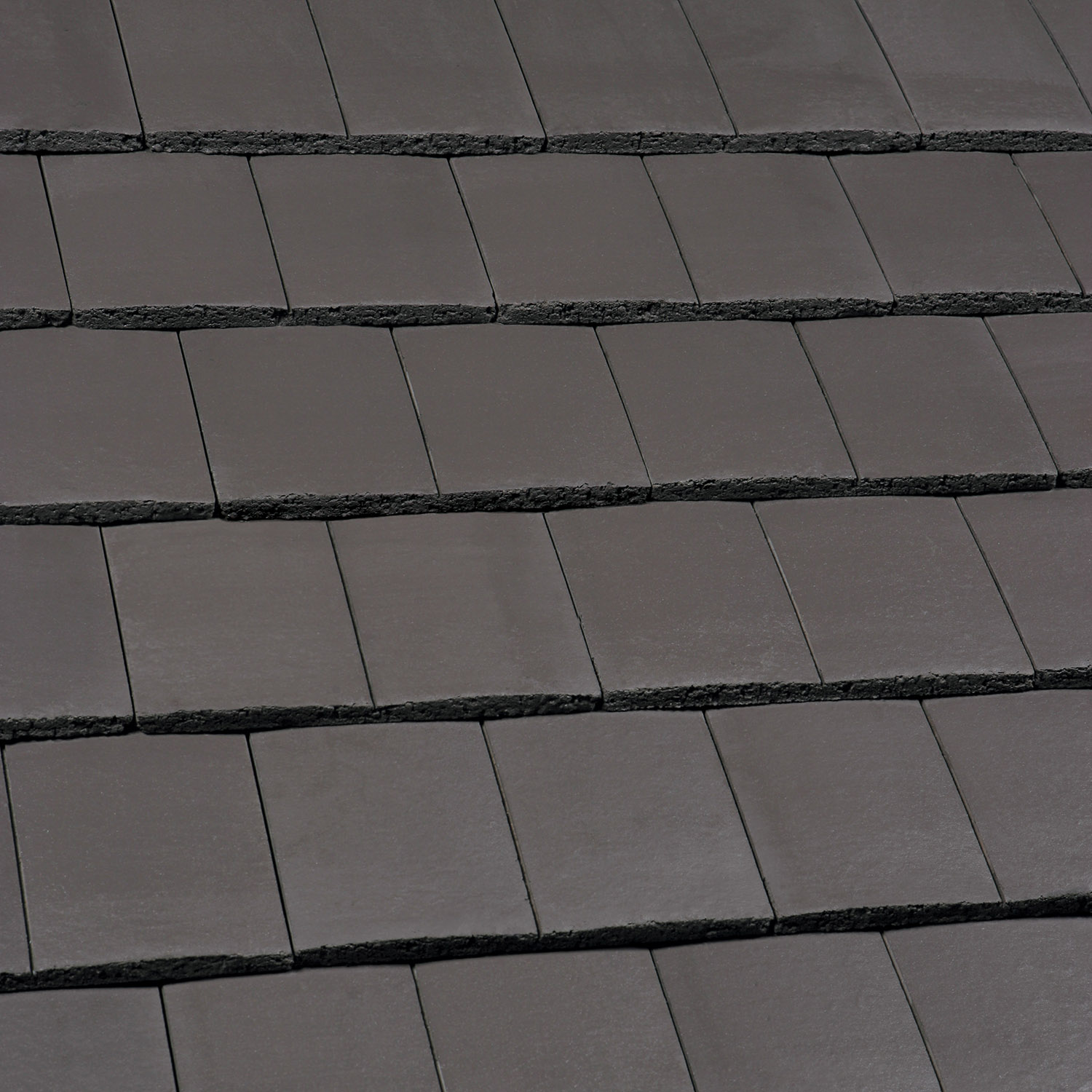 Ashmore Smooth Grey Rig Shot